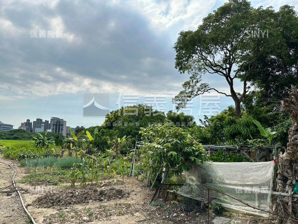 關渡豐年三小段農地房屋室內格局與周邊環境