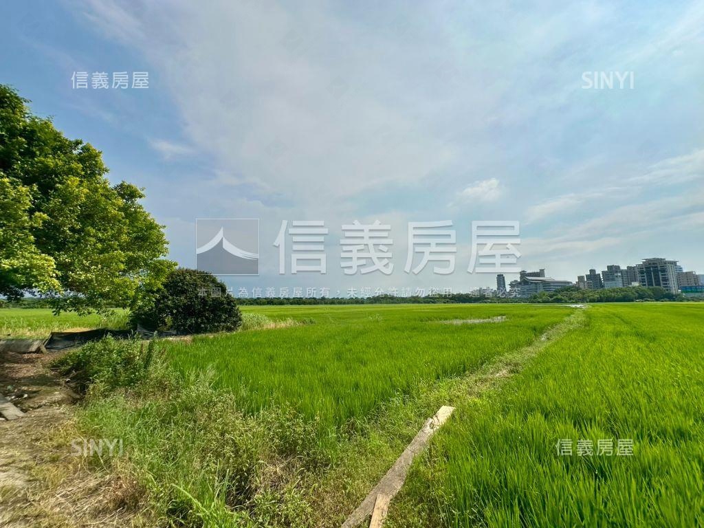 關渡豐年三小段農地房屋室內格局與周邊環境