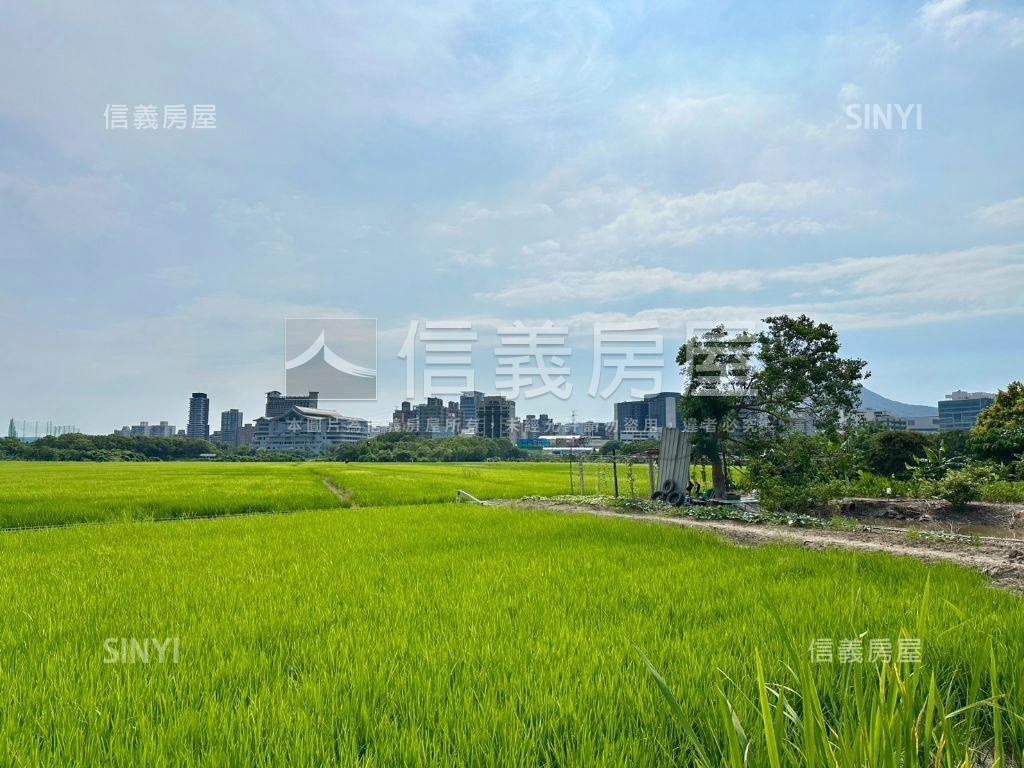 關渡豐年三小段農地房屋室內格局與周邊環境