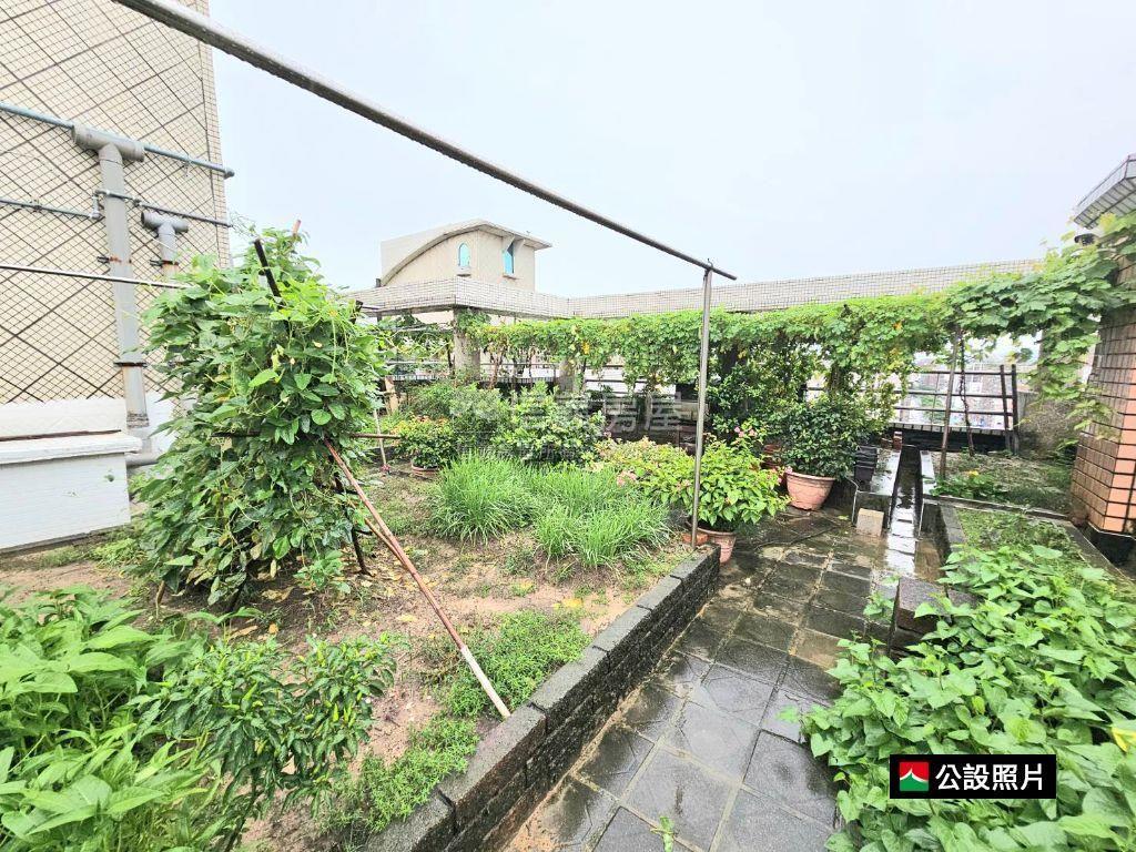 左右逢源綠園道美屋房屋室內格局與周邊環境