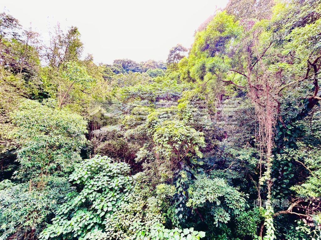 飯店式管理精美綠意套房房屋室內格局與周邊環境