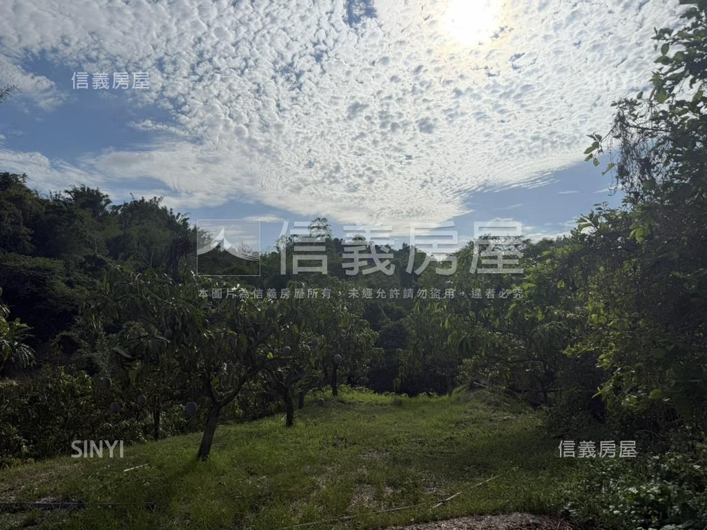 左鎮約４分農地房屋室內格局與周邊環境