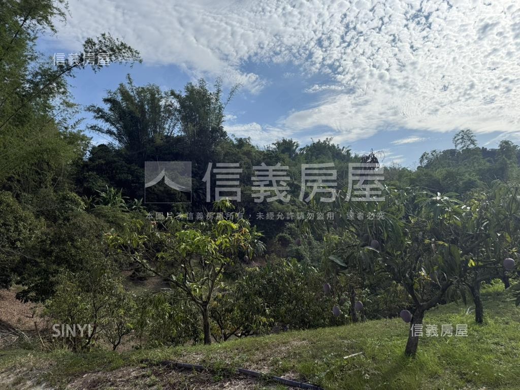 左鎮約４分農地房屋室內格局與周邊環境