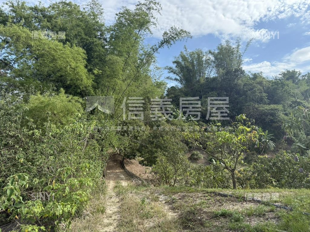 左鎮約４分農地房屋室內格局與周邊環境