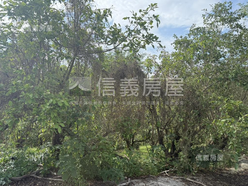 左鎮約４分農地房屋室內格局與周邊環境