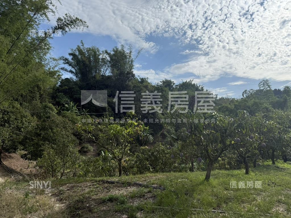 左鎮約４分農地房屋室內格局與周邊環境