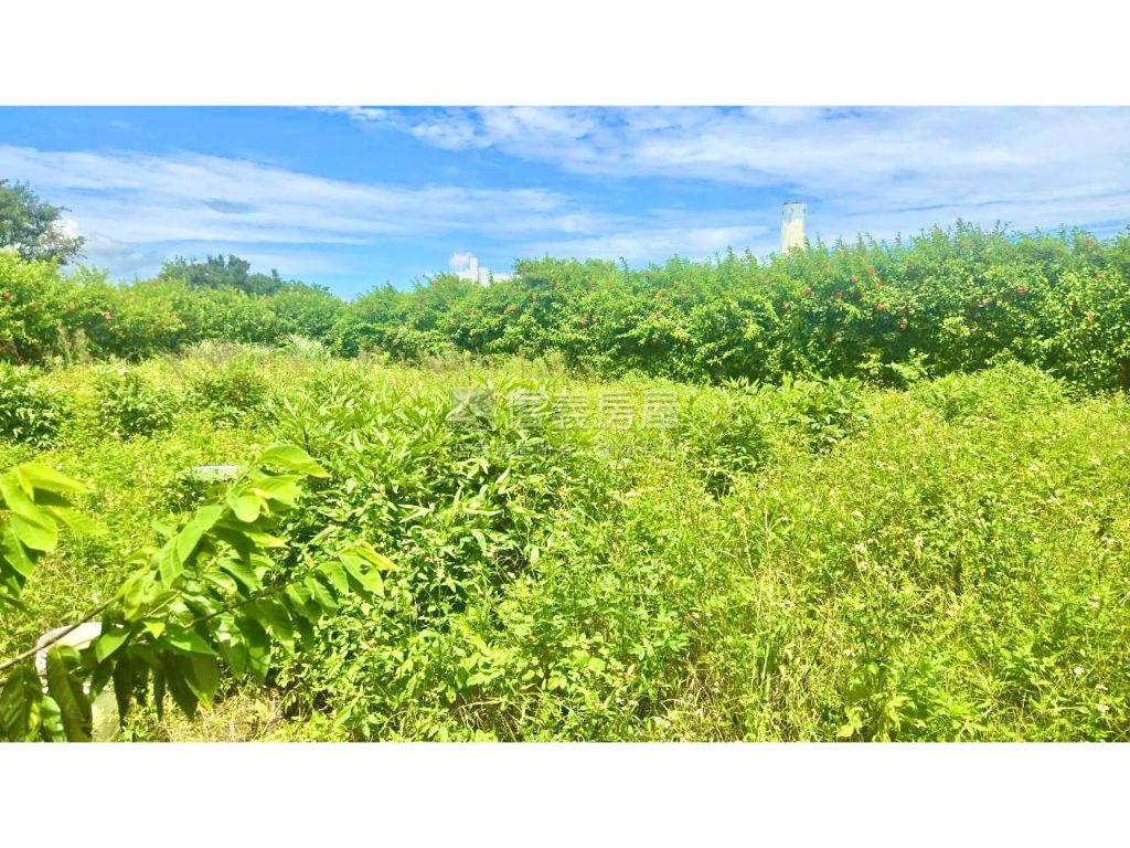 林口下福約６８５坪土地房屋室內格局與周邊環境