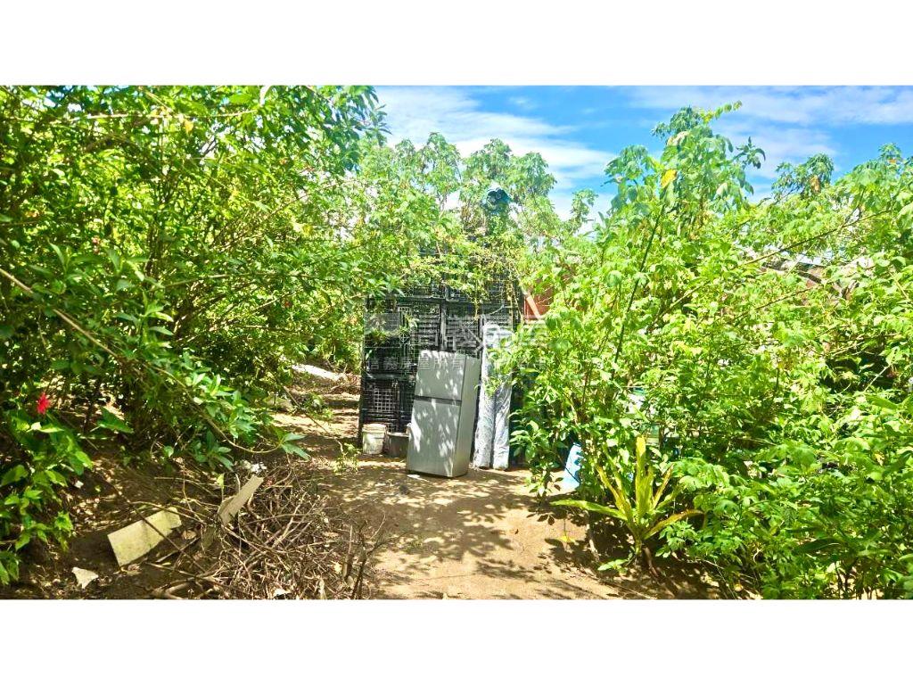 林口下福約６８５坪土地房屋室內格局與周邊環境