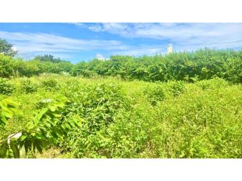 林口下福約６８５坪土地