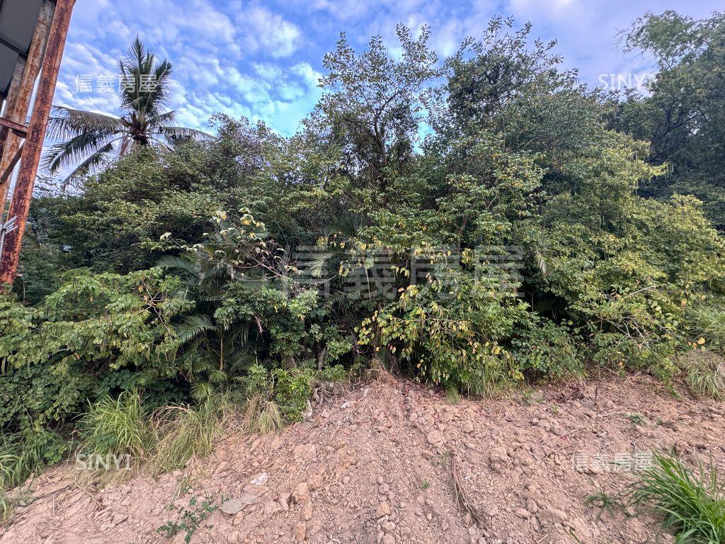 鳥松區【林內段】住一土地房屋室內格局與周邊環境