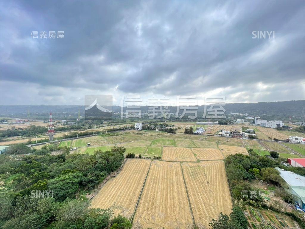 美麗華好柿高樓採光美屋房屋室內格局與周邊環境