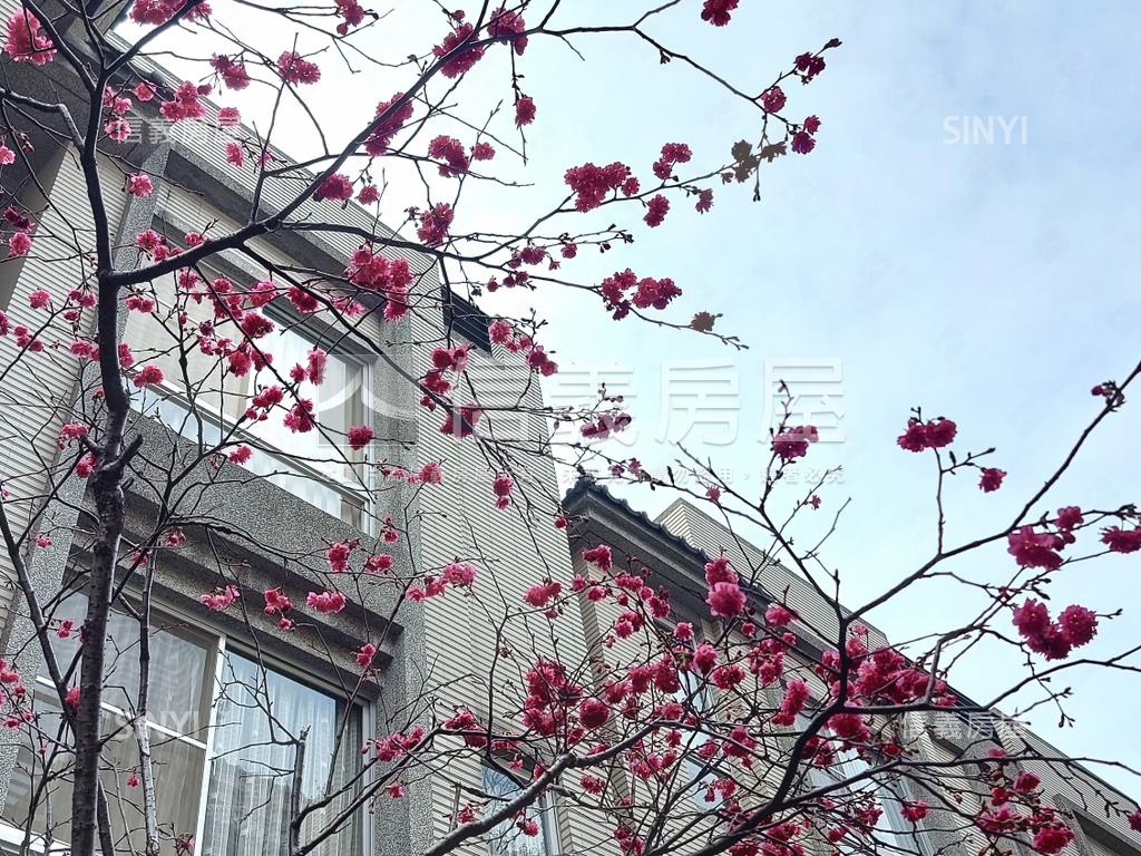 【寶璽綠園墅】稀有釋出房屋室內格局與周邊環境