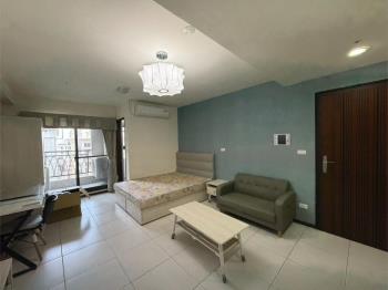 鼎藏璞麗高樓層大兩房車位