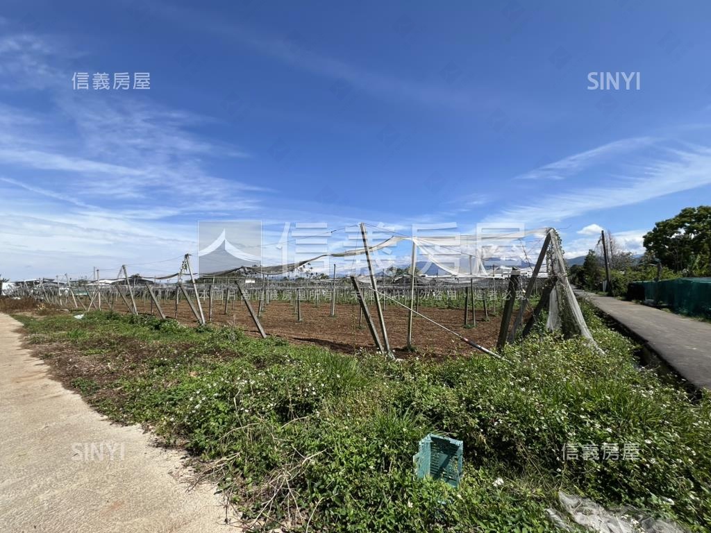 新社花海旁農地房屋室內格局與周邊環境
