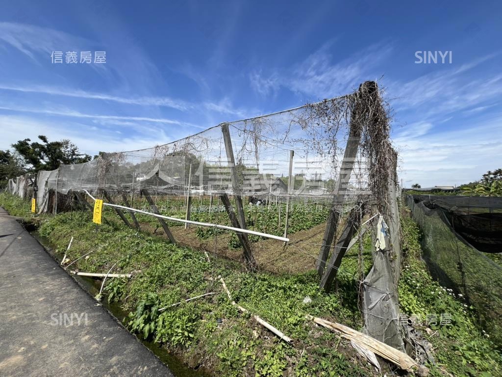 新社花海旁農地房屋室內格局與周邊環境