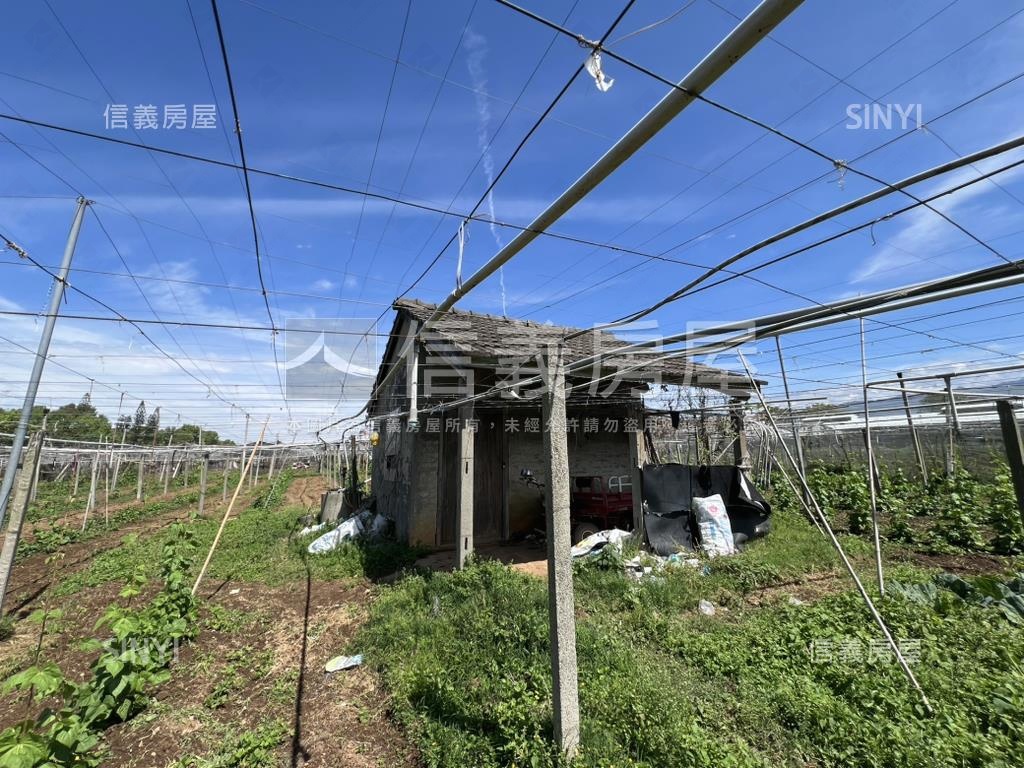 新社花海旁農地房屋室內格局與周邊環境