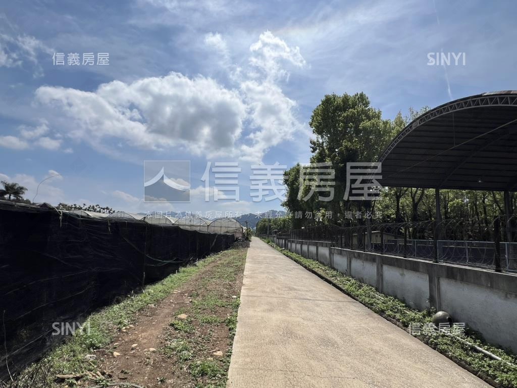 新社花海旁農地房屋室內格局與周邊環境
