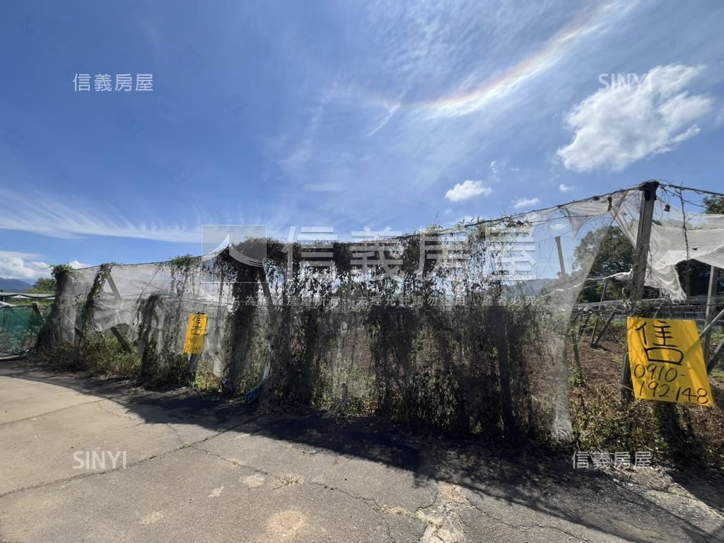新社花海旁農地房屋室內格局與周邊環境