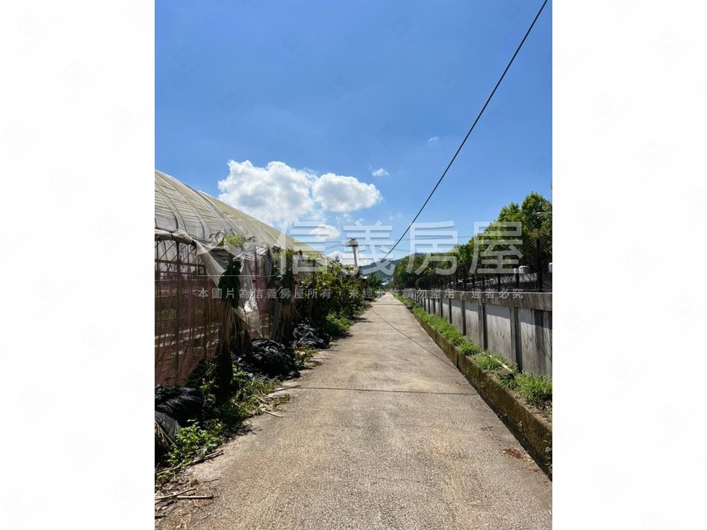 新社花海旁農地房屋室內格局與周邊環境