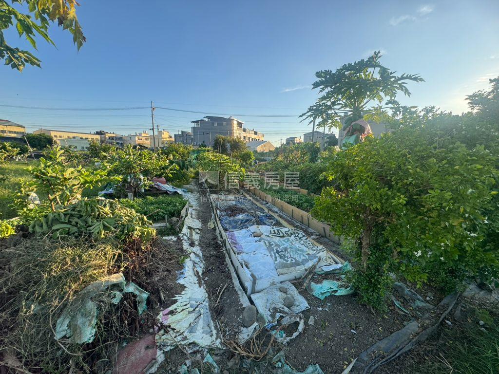 霧峰四德大面寬臨路農地房屋室內格局與周邊環境
