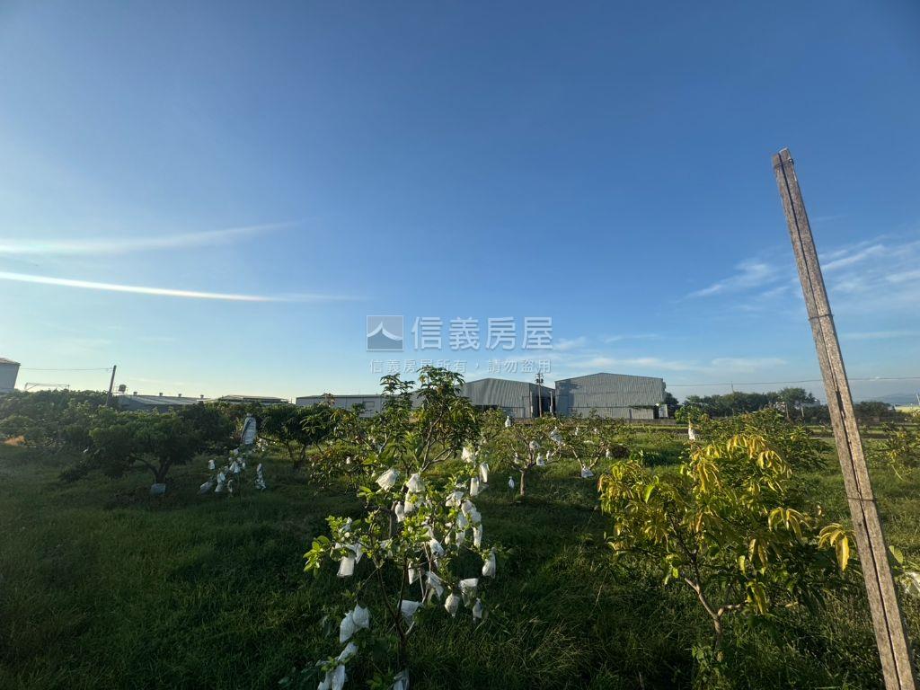 霧峰四德大面寬臨路農地房屋室內格局與周邊環境