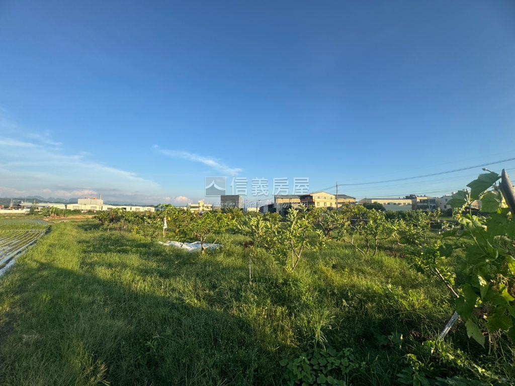 霧峰四德大面寬臨路農地房屋室內格局與周邊環境