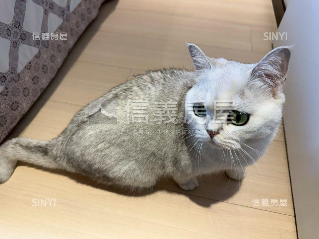 可賞屋國賓高樓採光三房房屋室內格局與周邊環境