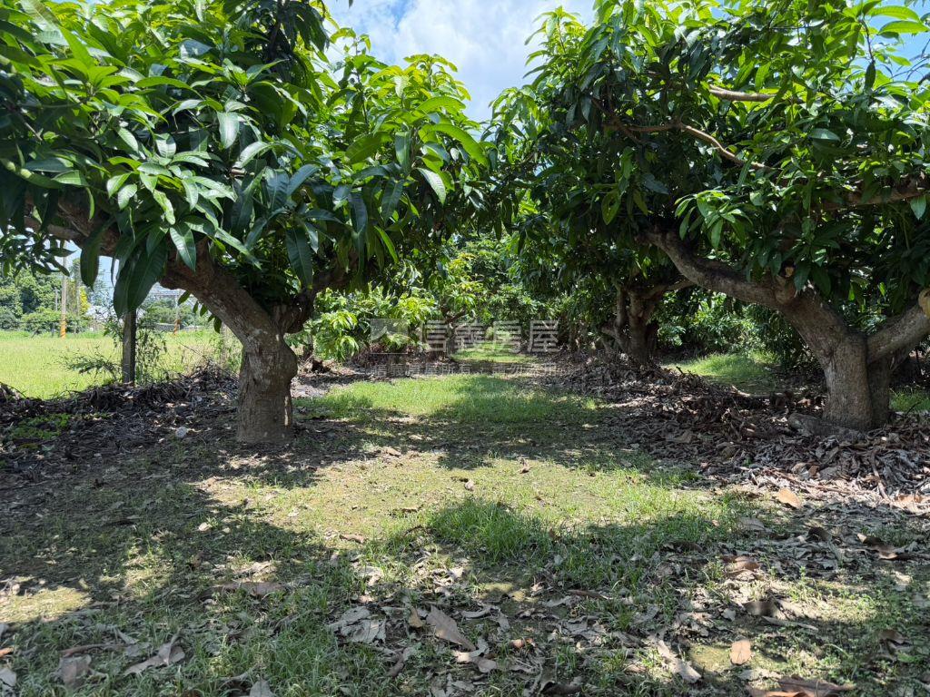 新化｜持分農地房屋室內格局與周邊環境
