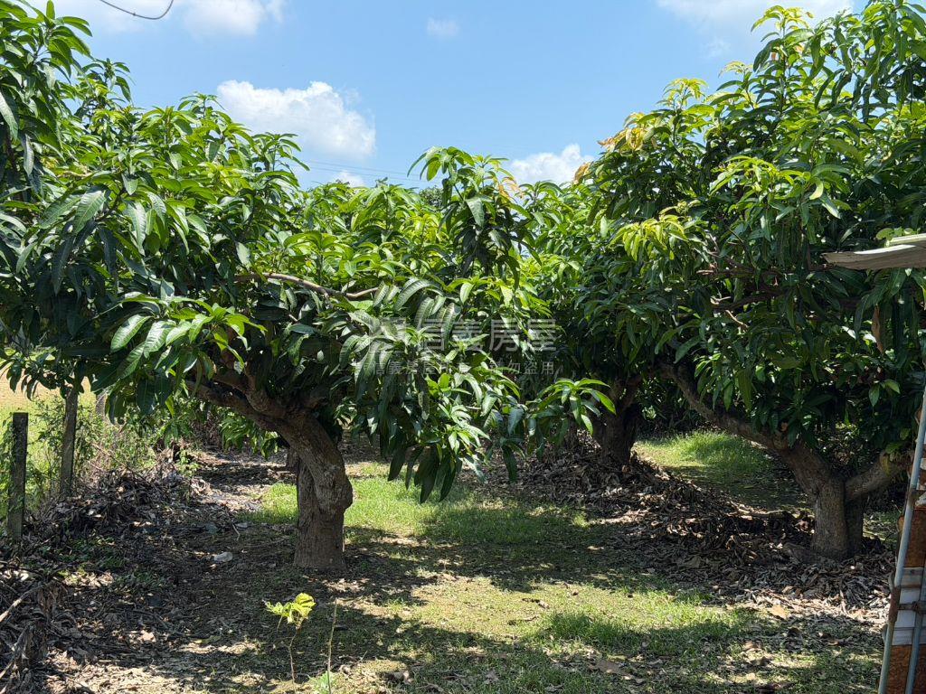 新化｜持分農地房屋室內格局與周邊環境