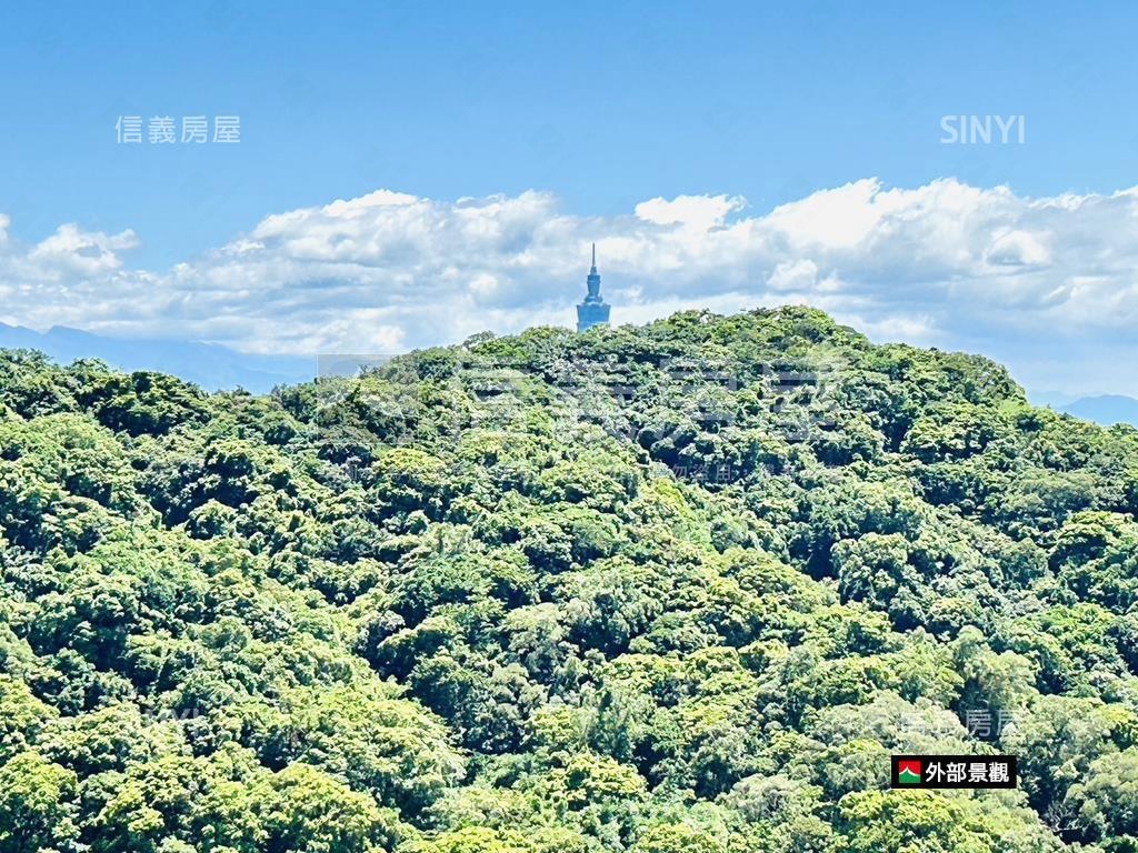 誠售稀有近捷運美景套房房屋室內格局與周邊環境