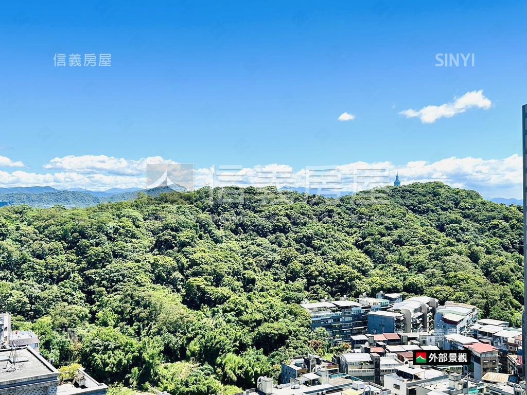 誠售稀有近捷運美景套房房屋室內格局與周邊環境