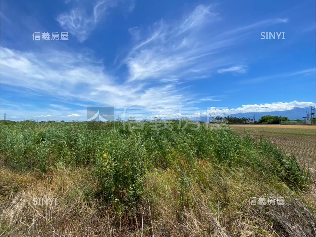 屏東新園方正農地房屋室內格局與周邊環境