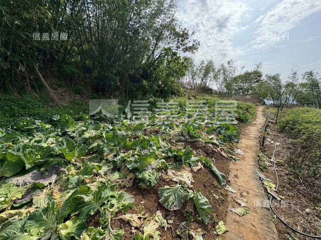 陽明山大土地別墅房屋室內格局與周邊環境