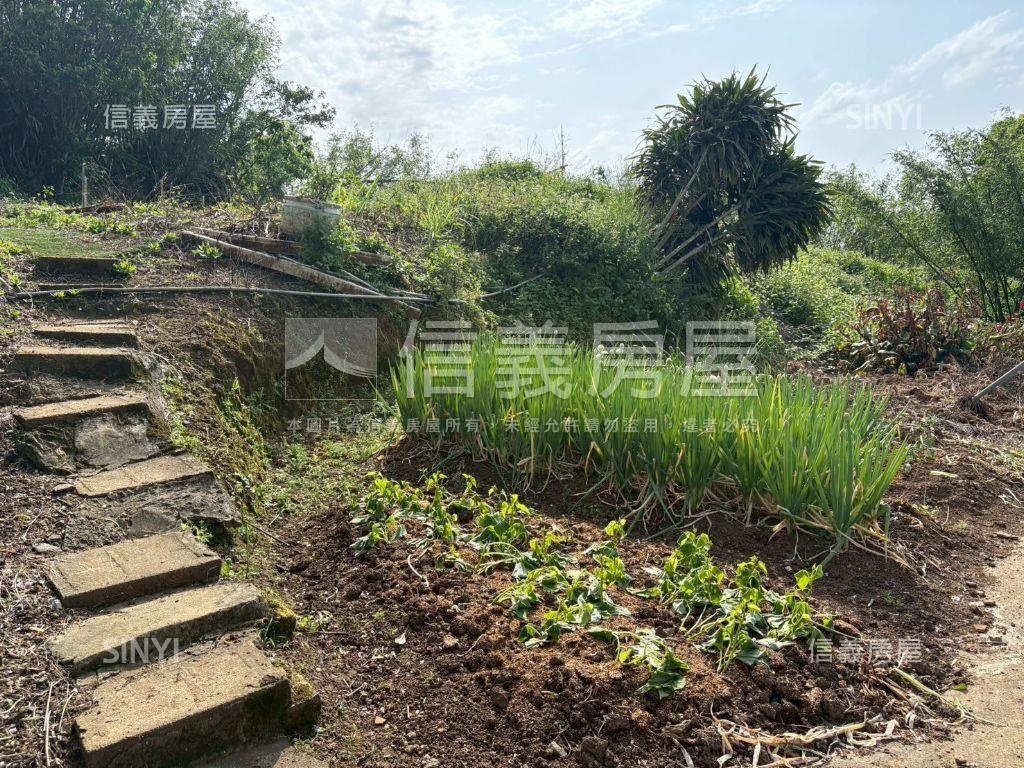 陽明山大土地別墅房屋室內格局與周邊環境