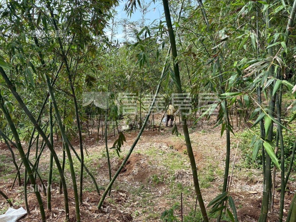 陽明山大土地別墅房屋室內格局與周邊環境