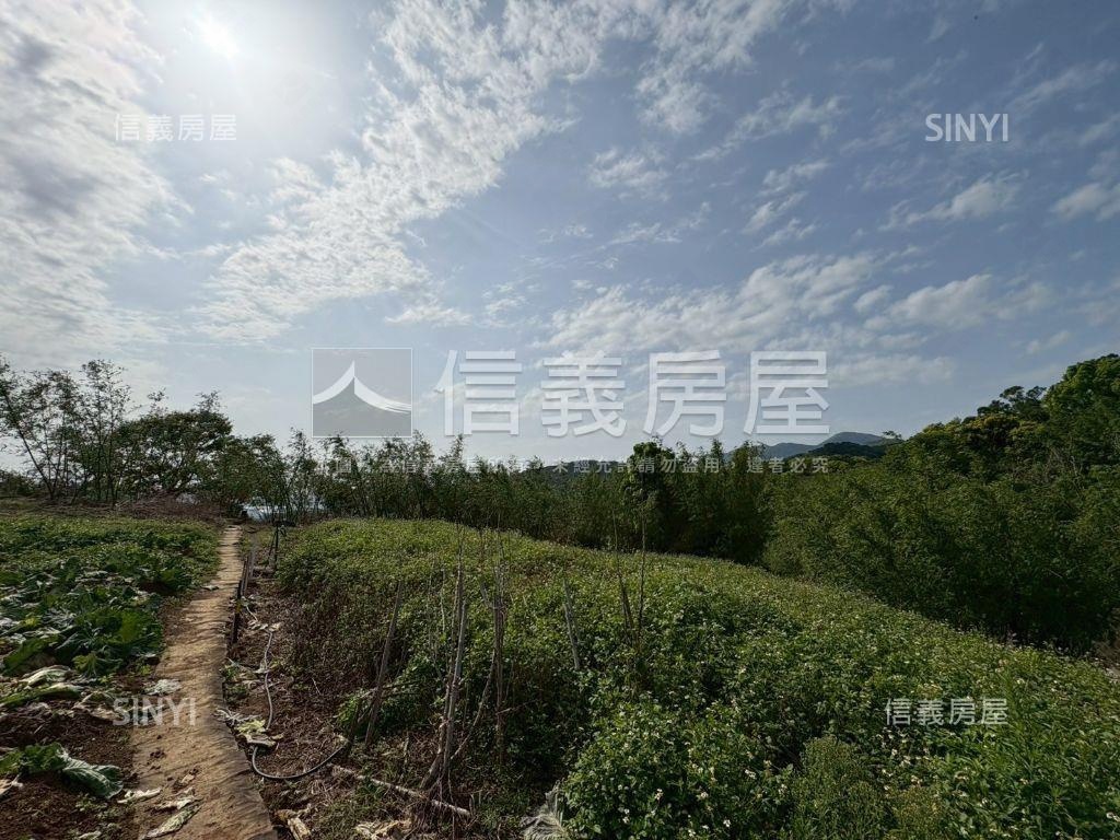 陽明山大土地別墅房屋室內格局與周邊環境