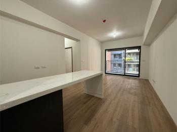 心之所向三房平車稀有釋出