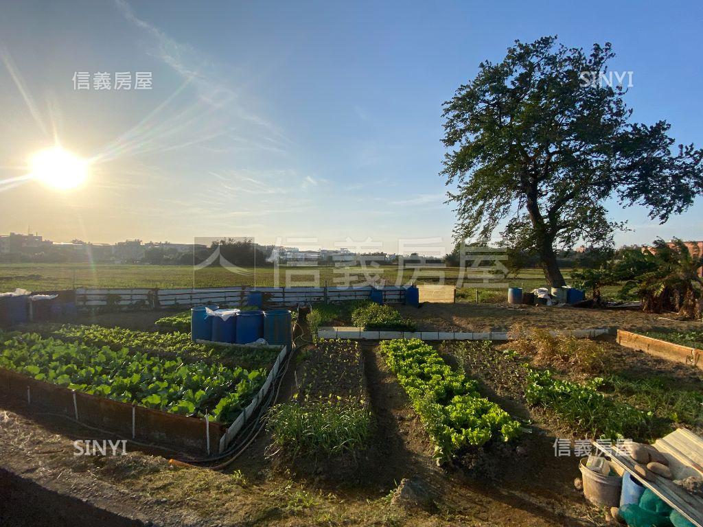近平鎮關爺東開心菜園農地房屋室內格局與周邊環境