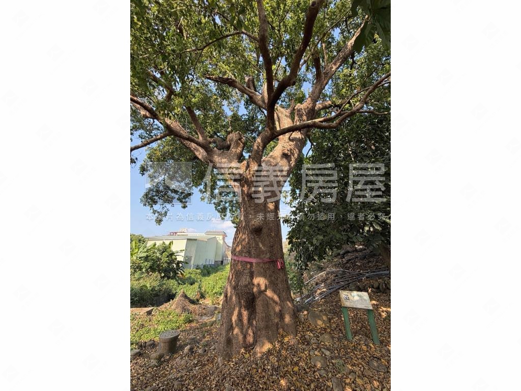 楠西｜樂活美地房屋室內格局與周邊環境