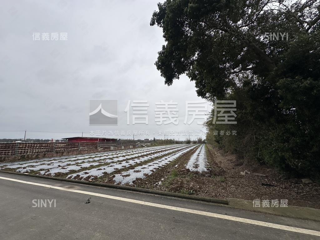 新豐圓山子農業土地房屋室內格局與周邊環境