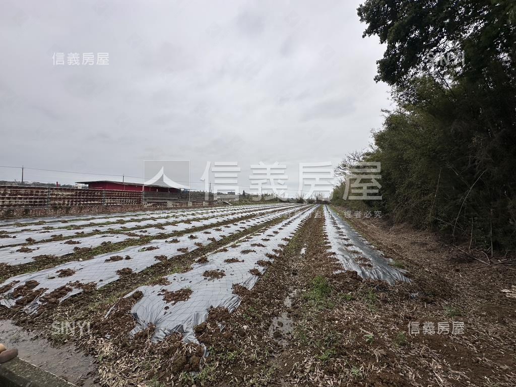 新豐圓山子農業土地房屋室內格局與周邊環境
