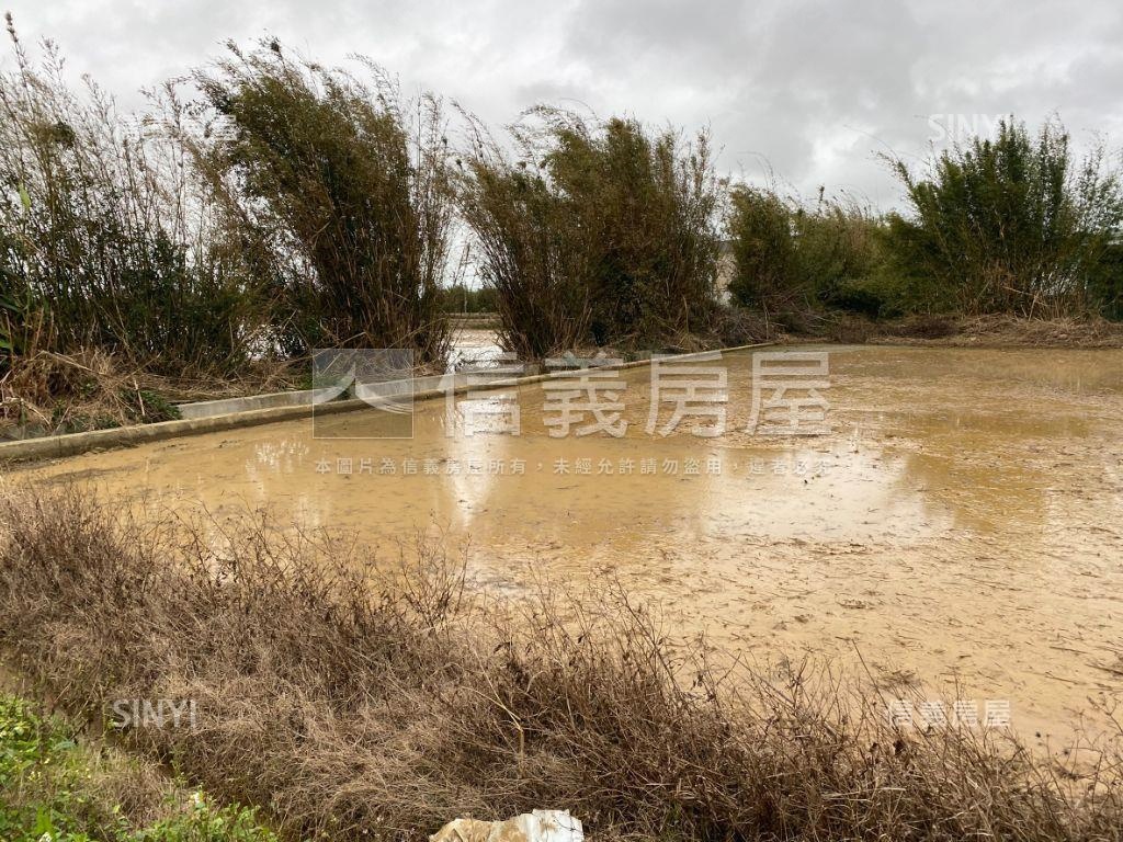 新豐圓山子農業土地房屋室內格局與周邊環境