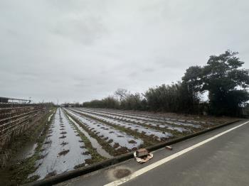 新豐圓山子農業土地