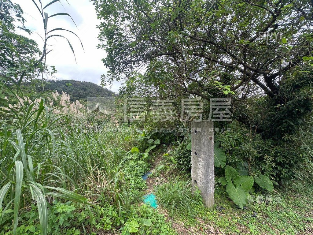 基隆七堵丙種建築用地３０房屋室內格局與周邊環境