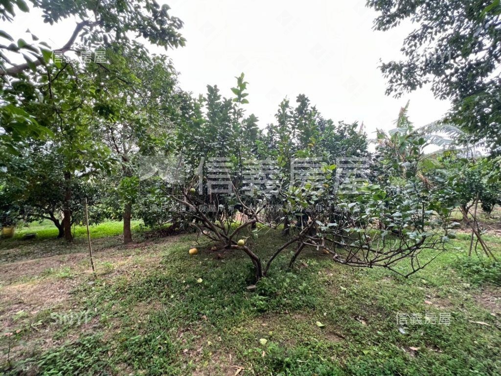 苗栗３面臨路開心農場房屋室內格局與周邊環境