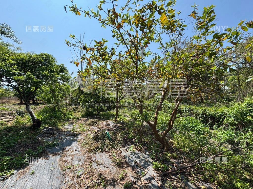 超大地坪休閒度假小屋房屋室內格局與周邊環境