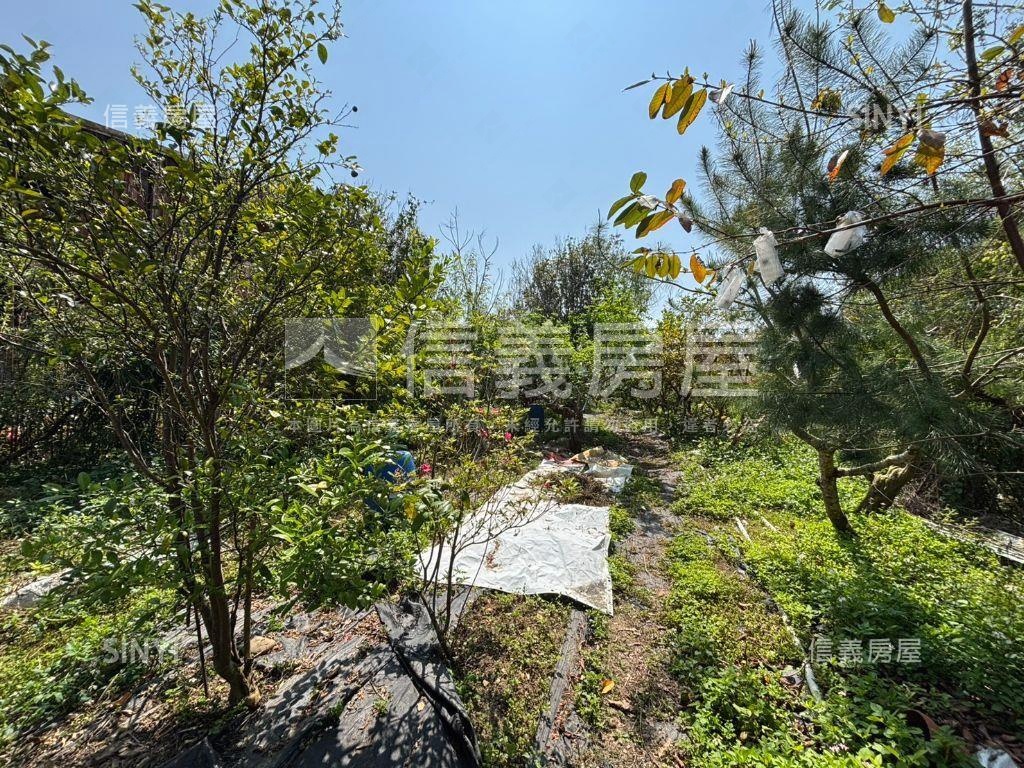 超大地坪休閒度假小屋房屋室內格局與周邊環境