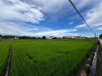 后里農臨路地好山好水