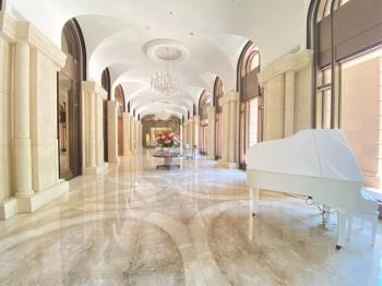 獨家！昭揚大隱四房車位