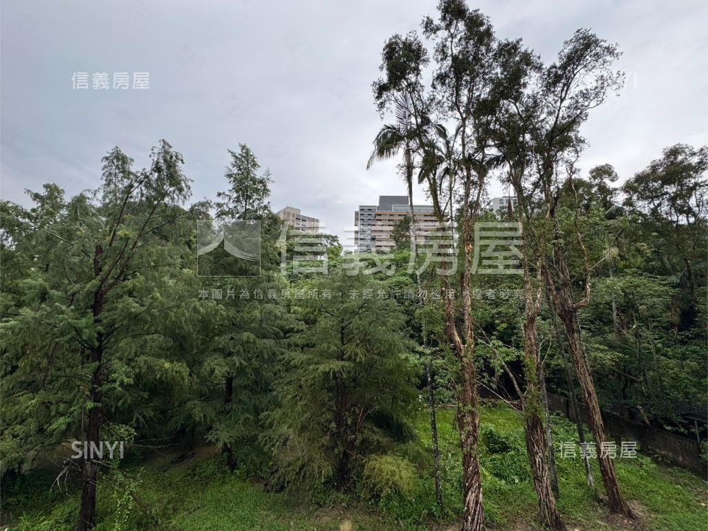 公園樹海獨戶美寓房屋室內格局與周邊環境